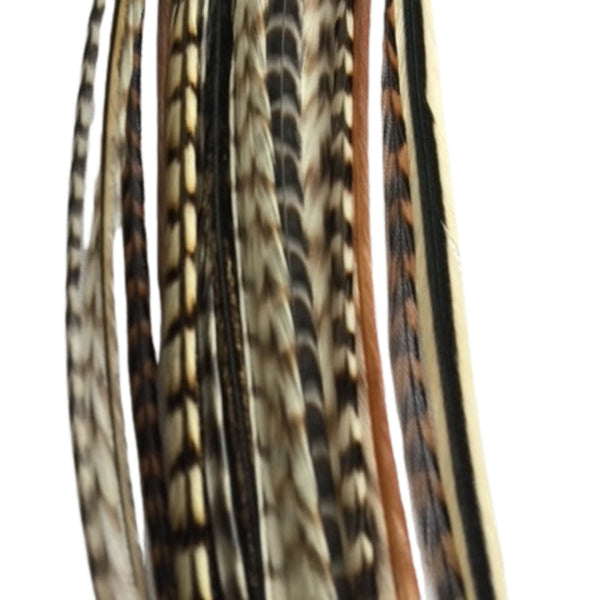 Feathers with intricate patterns on a white background