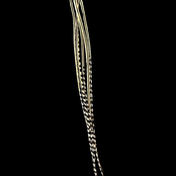 Blonde Grizzly Hair feathers on a black background
