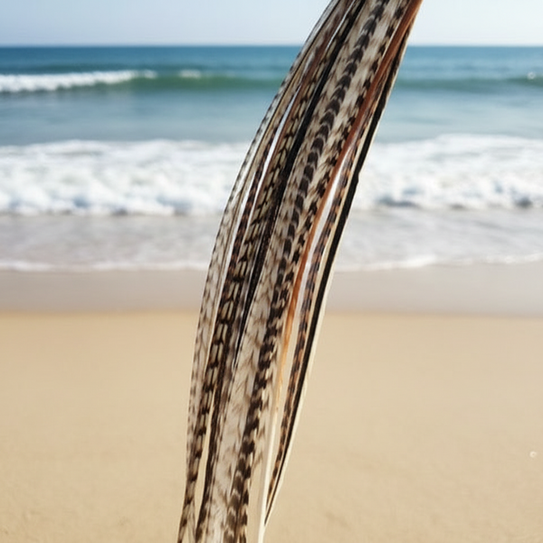 Close-up of a bunch of natural grizzly feathers for hair with a blurred beach and ocean in the background