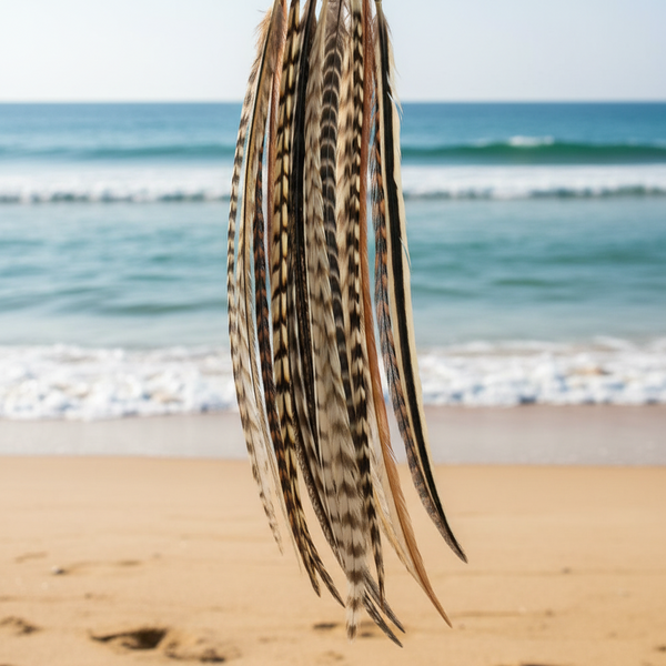 Feathers on a beach with ocean waves in the background
