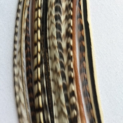 Feathers with intricate patterns on a white background