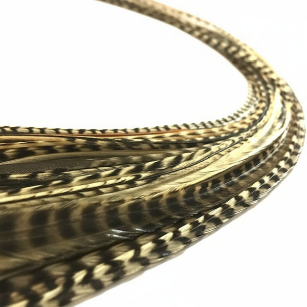 Coiled strip of feathers on a white surface