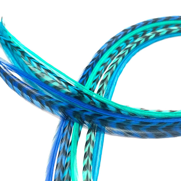 Coiled blues mix hair feathers on a white background