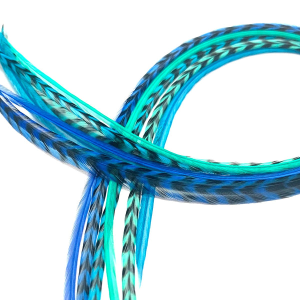 Coiled blues mix hair feathers on a white background