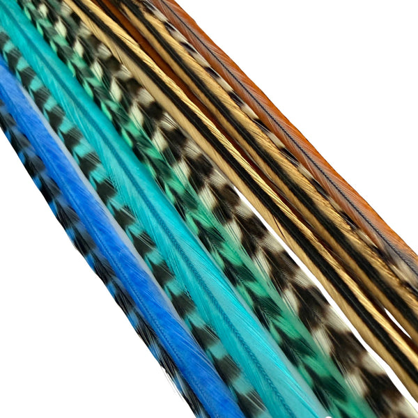 Set of colorful feathers on a white background