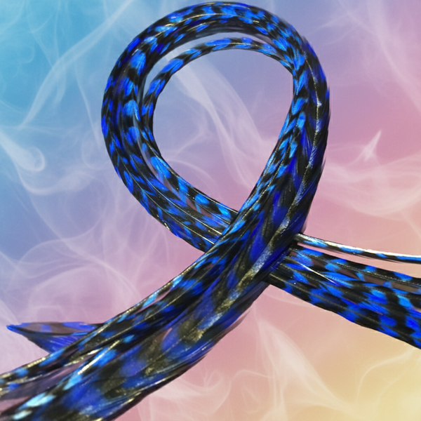 Electric Blue Feathers