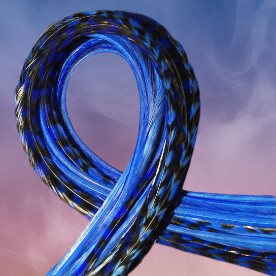 Electric Blue Feathers