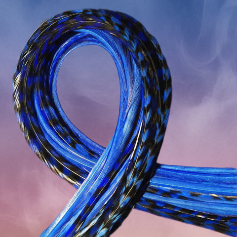 Electric Blue Feathers