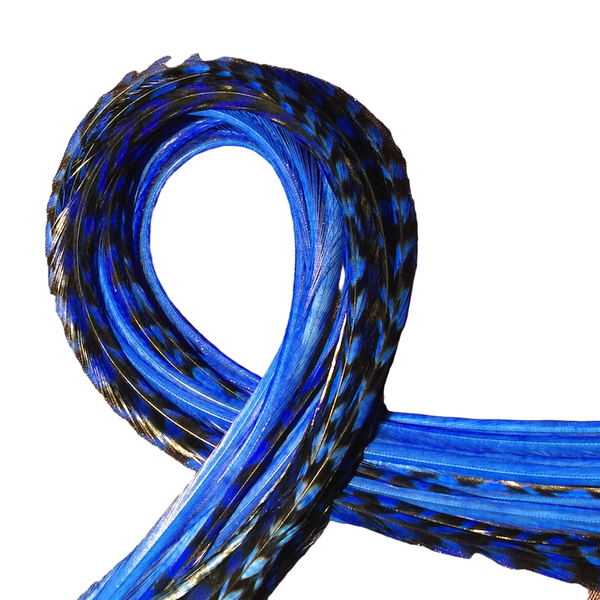 Blue Feather Extensions