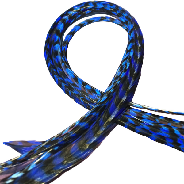 Blue and black feather extensions against a colorful abstract background