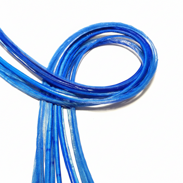 Blue Feather Extensions