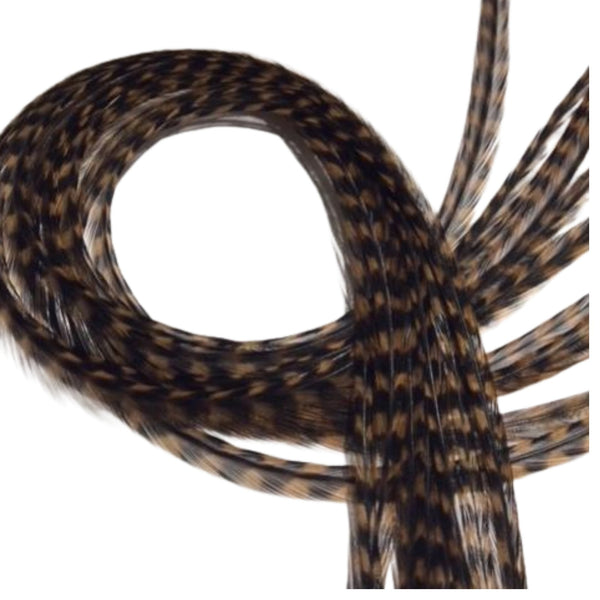 Close-up of a coiled brown and black feathers hair extensions on a white background