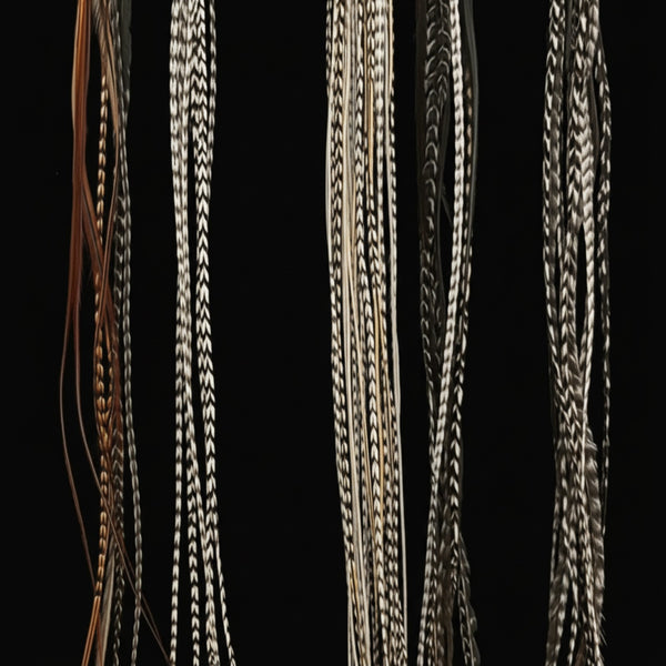 Collection of various types natural feather extensions on a black background