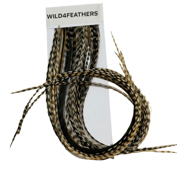 Coiled feathers with 'Wild4Feathers' packaging on a white background