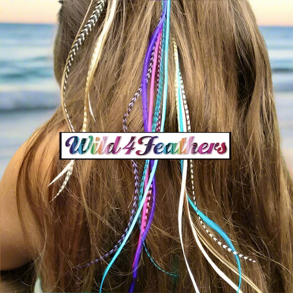 Colorful feather hair extensions with 'Wild 4 Feathers' logo.