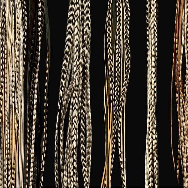 Collection of hair feathers with various patterns on a black background
