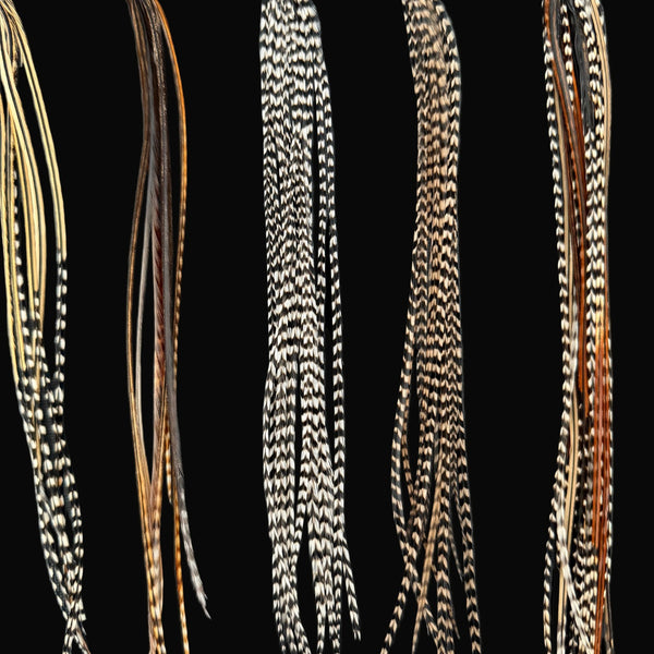 Feather extensions of various lengths and patterns on a black background
