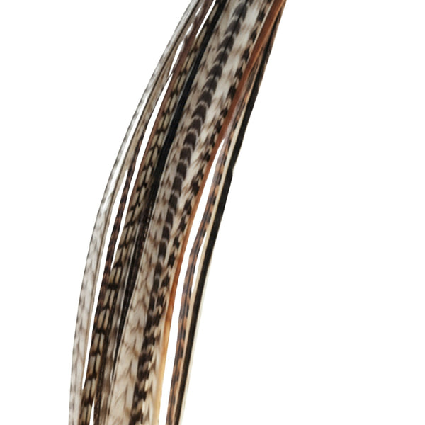 Close-up of a Natural grizzly feather-extensions on a white background