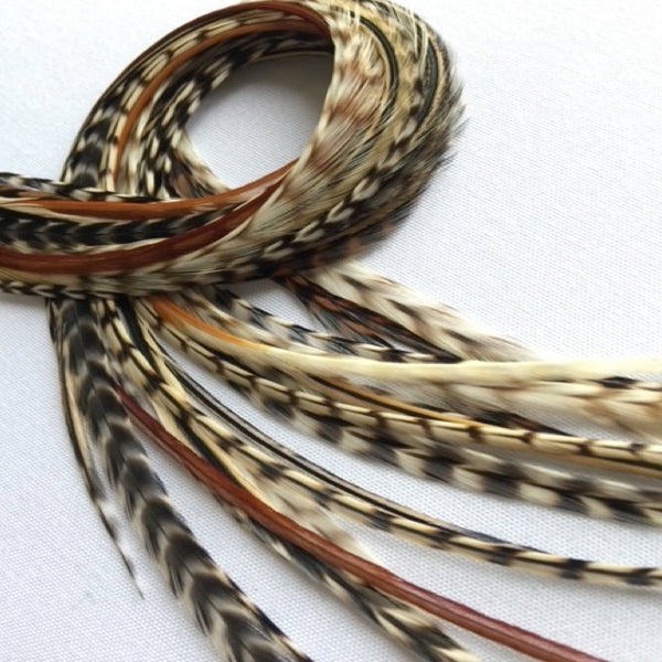 Feather extensions with brown, black, and beige patterns on a white background