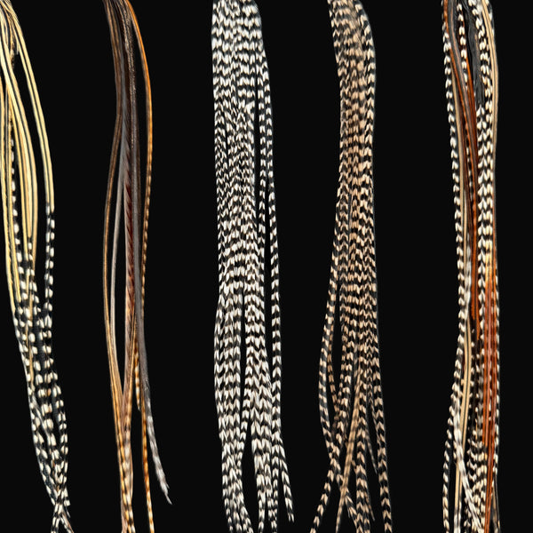 Feather extensions of various lengths and patterns on a black background