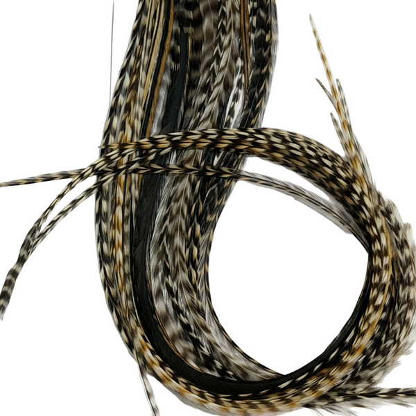 Coiled bundle of feathers on a white background