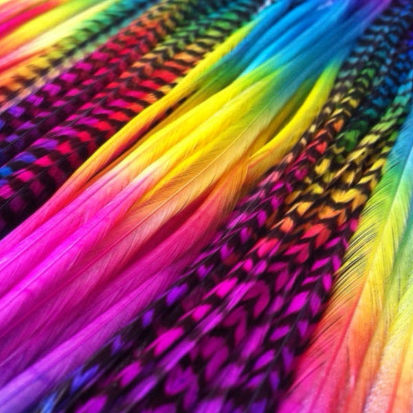 close up of rainbow multicolour solid and grizzly feather hair extensions in regular width ,real striped rainbow coloured feathers for feather hairstyling