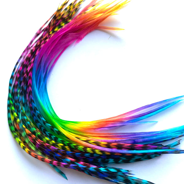 Rainbow Solid & Grizzly Feathers – 4pc Pack (Standard Length)