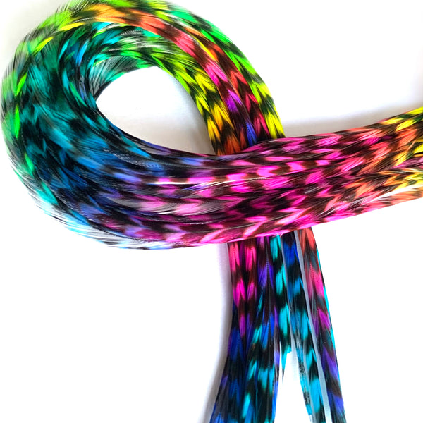 Colorful rainbow feathers with a white background