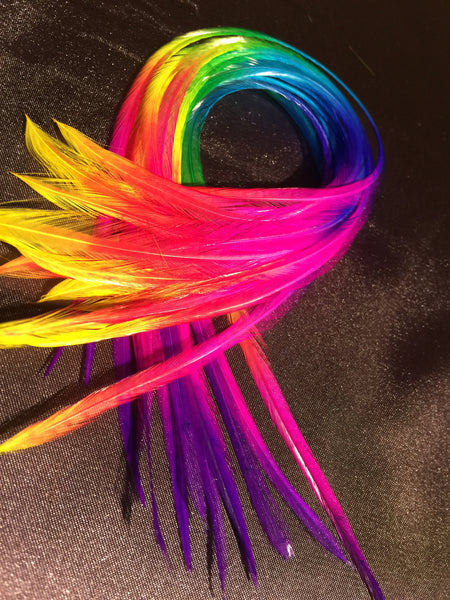Rainbow Solid Feathers – 4pc Pack (Standard Length)