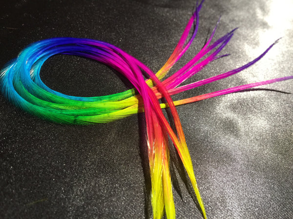Rainbow Solid Feathers – 4pc Pack (Standard Length)