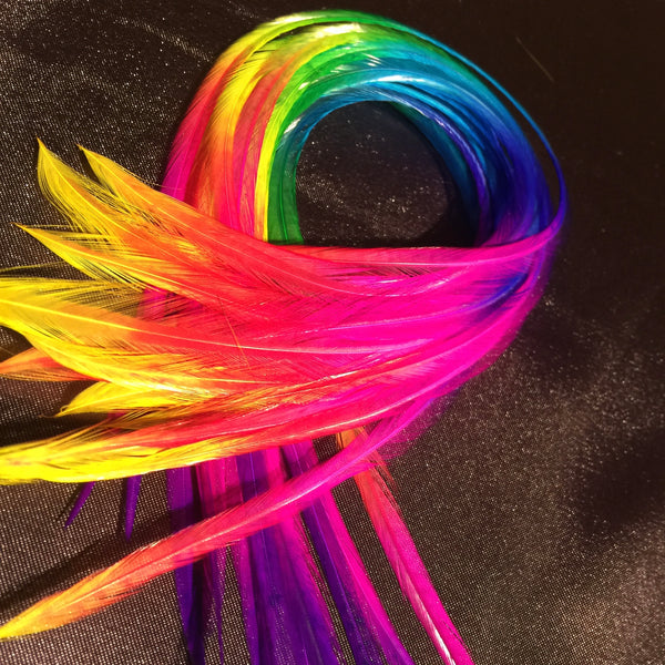 Colorful feather boa on a black background