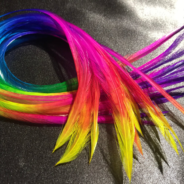 Rainbow Solid 4pc XL