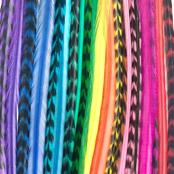 Colorful feathers arranged in a pattern
