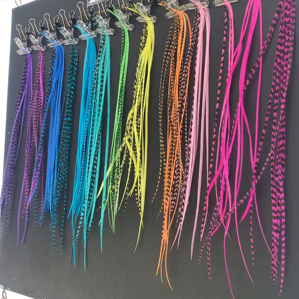 Coluorful feathers displayed on a rack against a black background