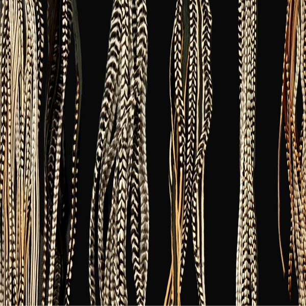 Collection of feather extensions in various colors on a dark background