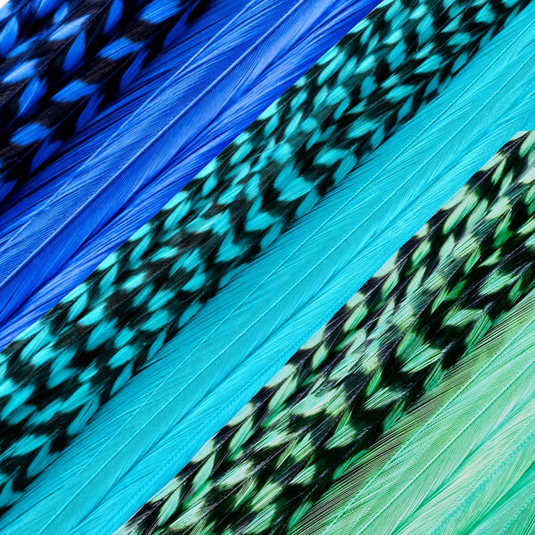 blues mix colours of dark blue, turquoise blue, aqua blue, in solid grizzly feather hair extensions set close-up coiled, natural pattern real feather strands for hair styling