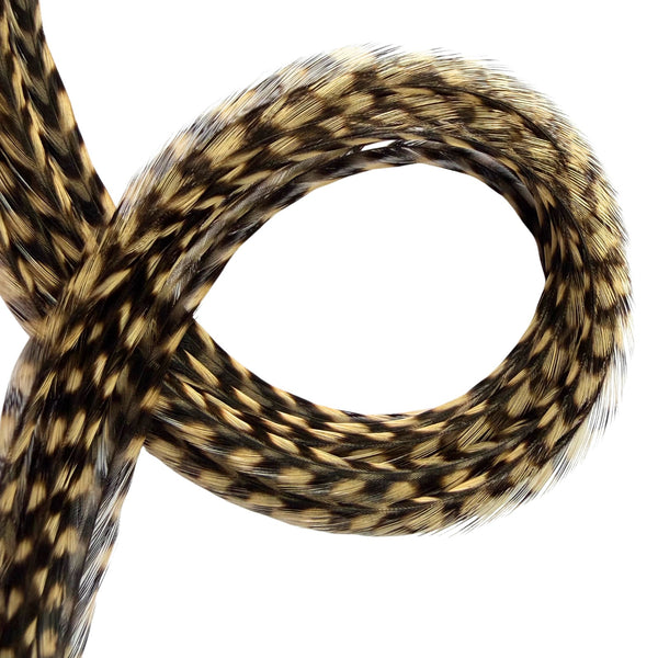 fawn brown grizzly feather hair extensions close-up, natural real grizzly pattern feather strands for hair styling