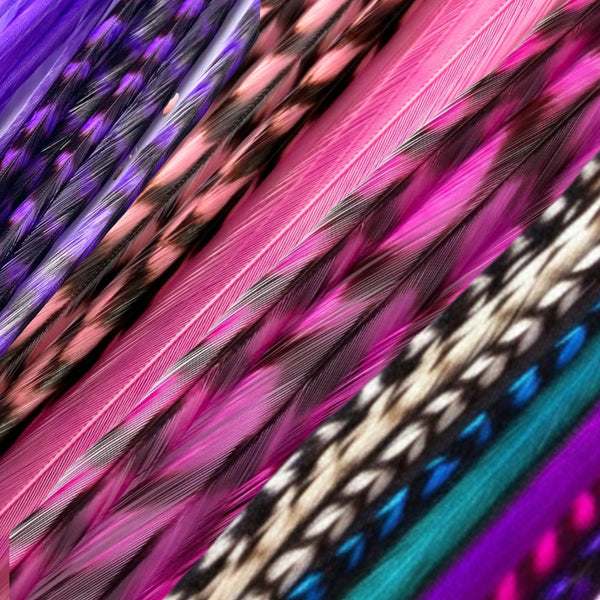 Close-up of bright coloured feather hair extensions of purple pink blue for feather hairstyling