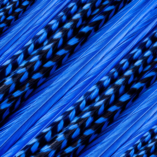 close up of dark blue solid and grizzly feather hair extensions in regular width ,real hair feathers for feather hairstyling