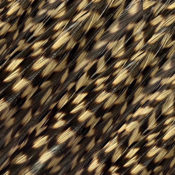 fawn brown grizzly feather hair extensions close-up, natural real grizzly pattern feather strands for hair styling
