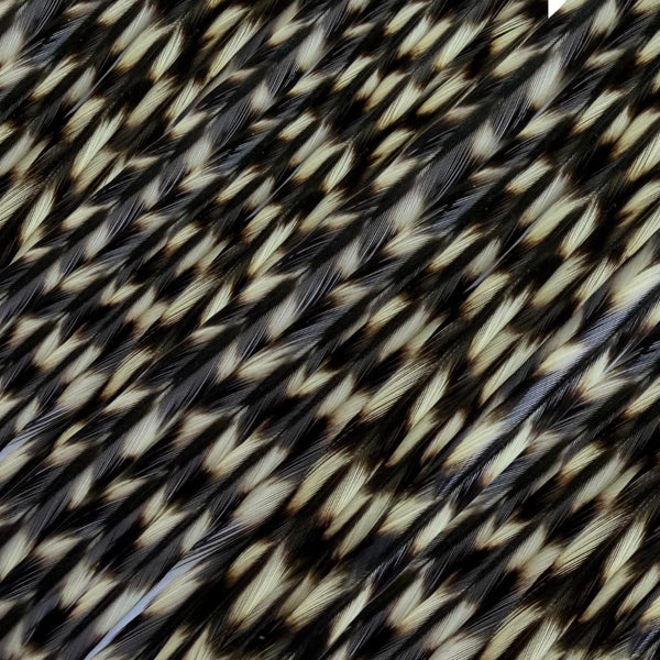 natural black and white feather hair extensions , real striped feathers for hairstyling