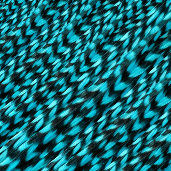 close up of turquoise blue grizzly feather hair extensions in regular width ,real hair feathers for feather hairstyling