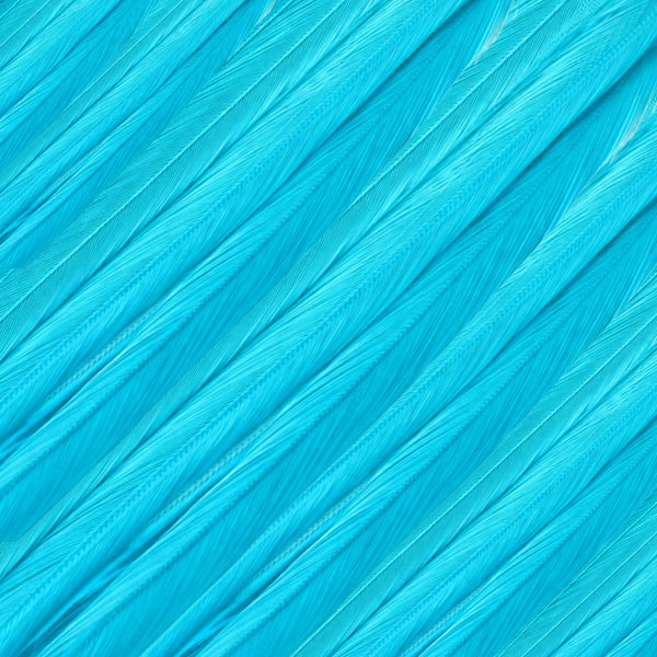 close up of turquoise blue solid feather hair extensions in regular width ,real hair feathers for feather hairstyling