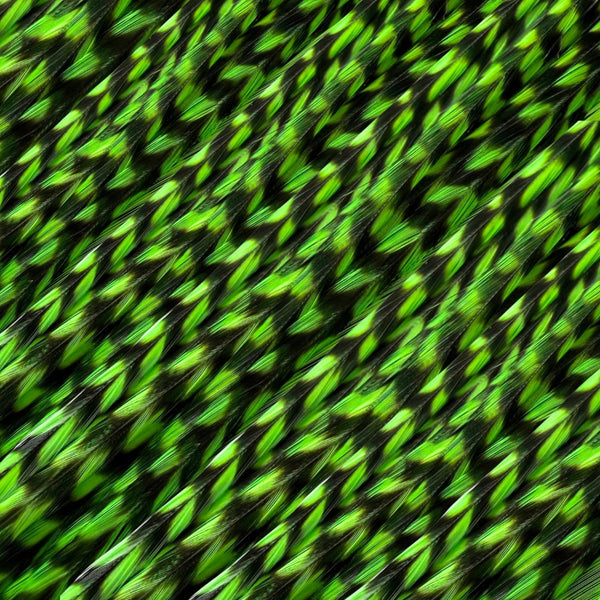 close up of green grizzly feather hair extensions in regular width ,real hair feathers for feather hairstyling