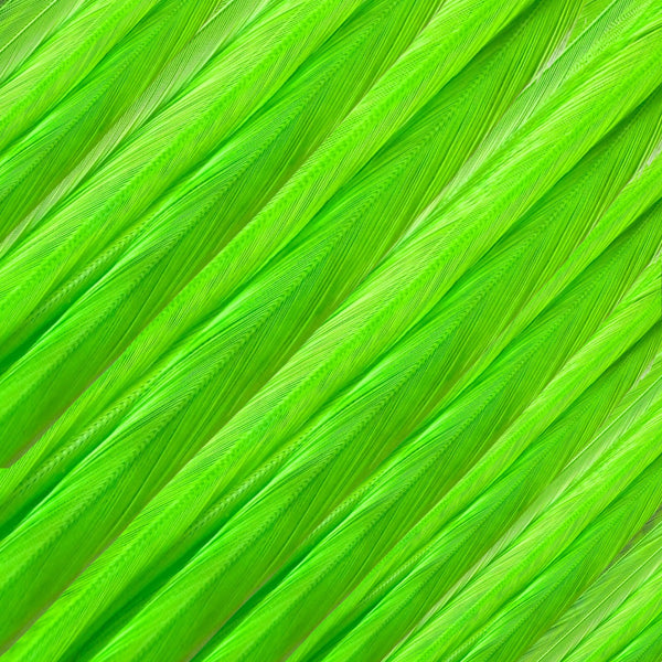 close up of green solid feather hair extensions in regular width ,real hair feathers for feather hairstyling