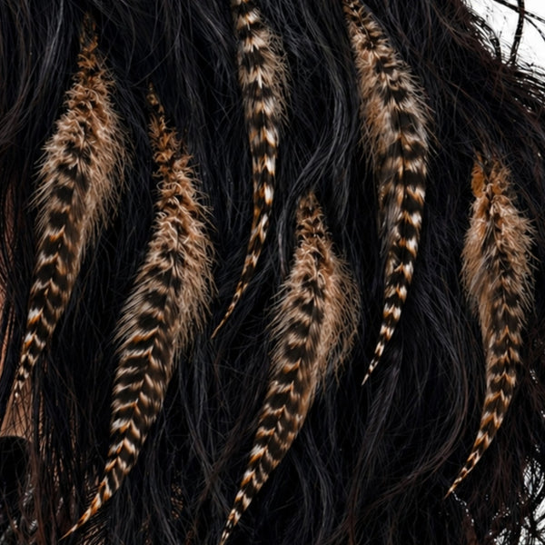 close up of natural brown and white fluffy feather hair extensions , wide'n'fluffy real striped feathers for hairstyling