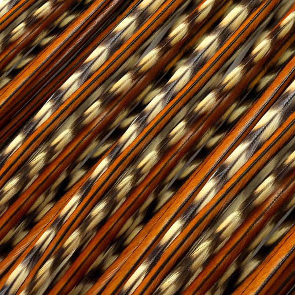 close up of natural caramel grizzly feather hair extensions in regular width ,real striped feathers for hairstyling