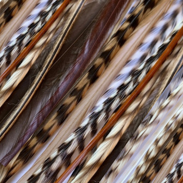 natural varieties of feather hair extensions in natural fawn grizzly, black and white grizzly, ginger , chocolate grizzly and blonde grizzly real striped feathers for hairstyling