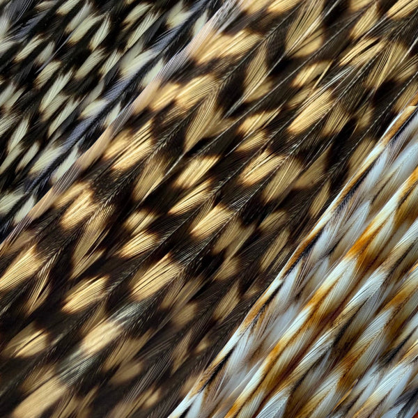 natural varieties of feather hair extensions in classic black and white grizzly, fawn grizzly , and ginger grizzly striped real feathers for hairstyling