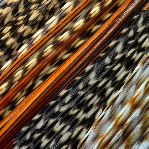 natural varieties of feather hair extensions in natural fawn grizzly, Cree Grizzly,  classic black and white grizzly , and ginger grizzly striped real feathers for hairstyling